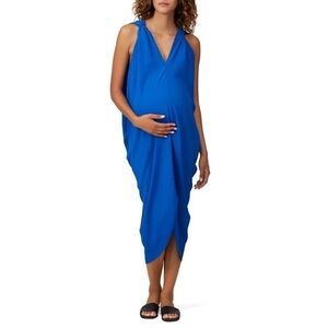 Hatch Maternity Dress